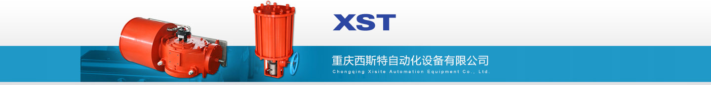 重庆西斯特自动化设备有限公司